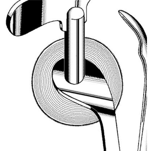 Blade Ring Cutter Chrome EA